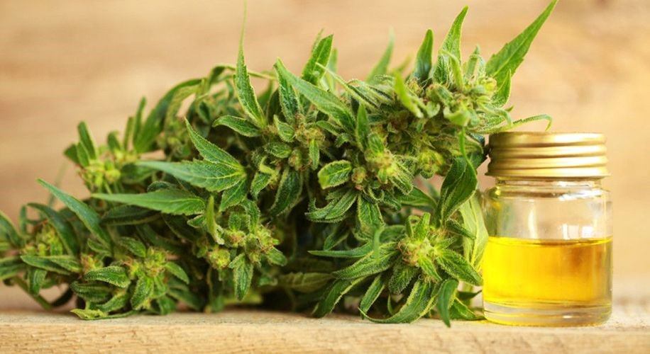 CBD Oil For Pets Velma 
      OK 73491